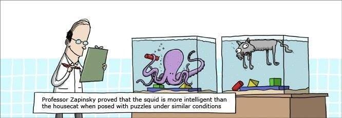 Une caricature avec un poulpe et un chat, dans un aquarium, pour indiquer que des tests peuvent être parfois partiaux